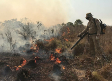 Queimadas no Pantanal, Amazônia e Cerrado já são maiores que em 2021